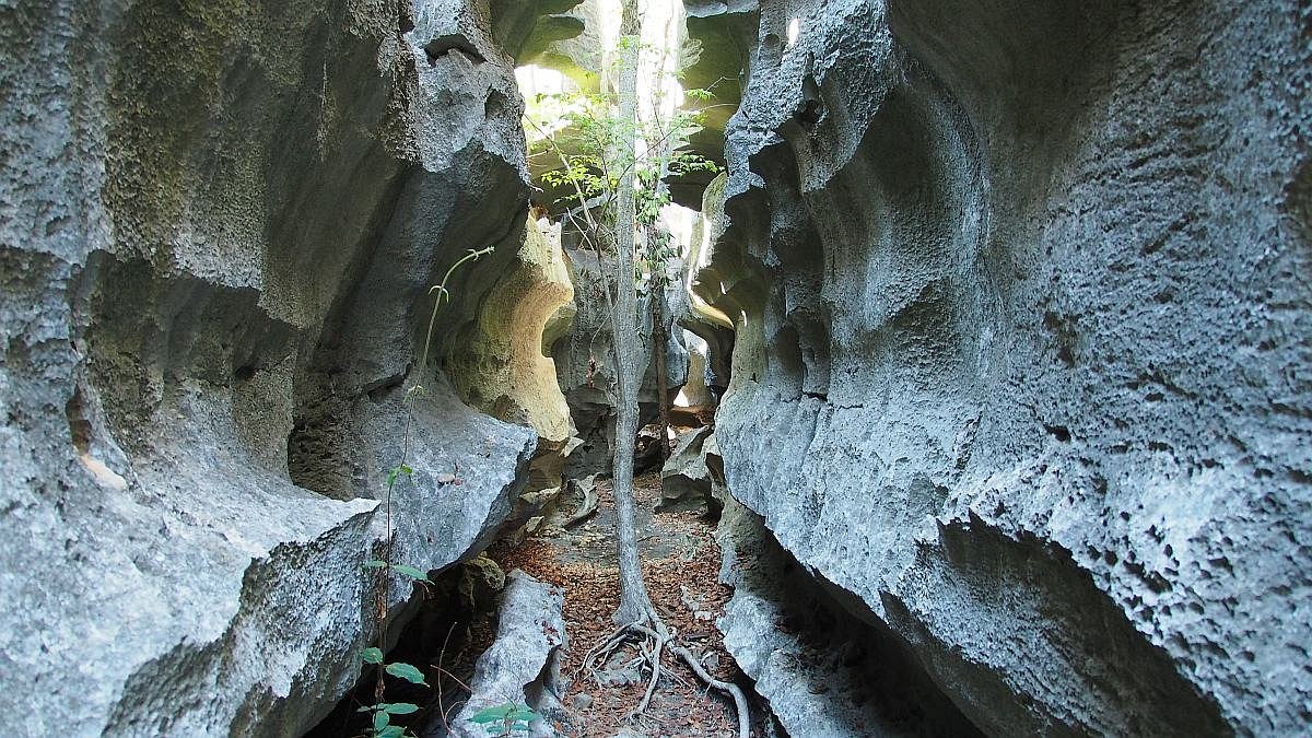 Grand Tsingy