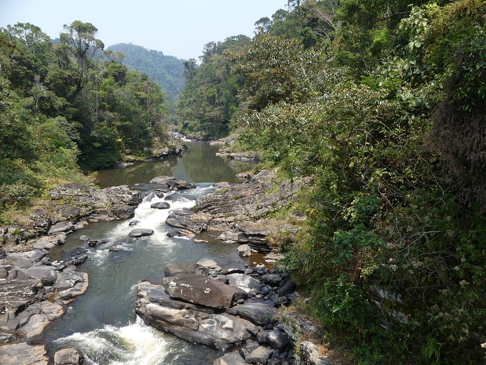 Park Ranomafana
